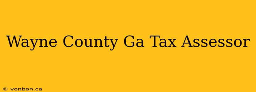 Wayne County Ga Tax Assessor