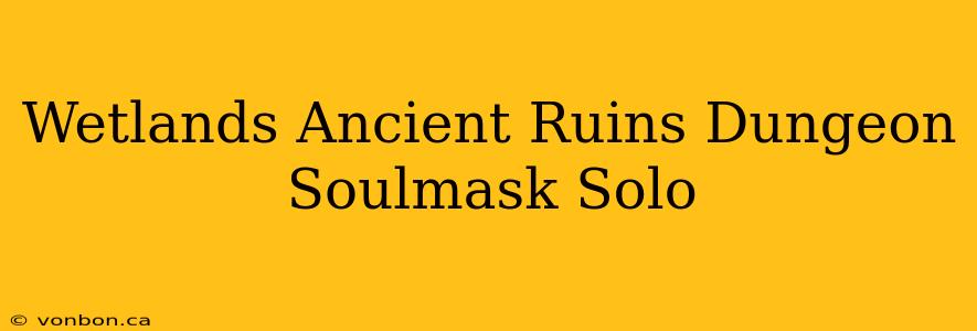 Wetlands Ancient Ruins Dungeon Soulmask Solo