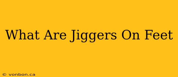 What Are Jiggers On Feet