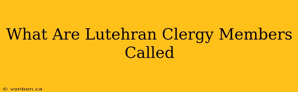 What Are Lutehran Clergy Members Called