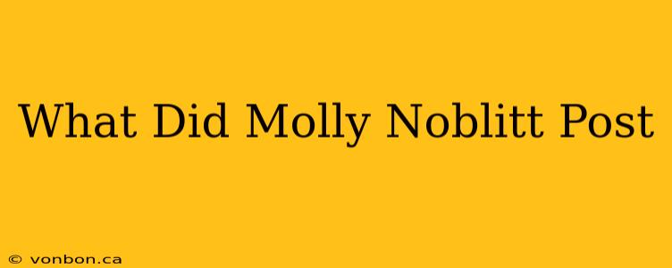 What Did Molly Noblitt Post