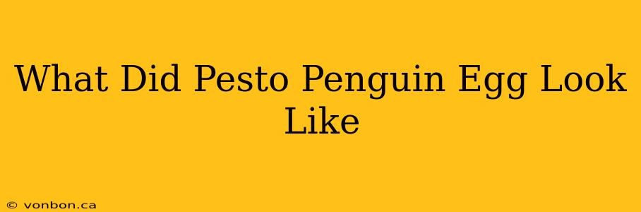 What Did Pesto Penguin Egg Look Like