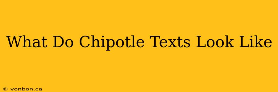 What Do Chipotle Texts Look Like