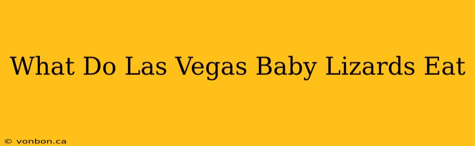 What Do Las Vegas Baby Lizards Eat