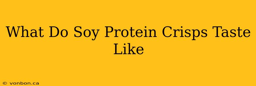 What Do Soy Protein Crisps Taste Like