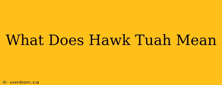 What Does Hawk Tuah Mean