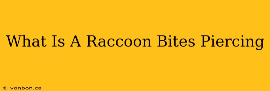 What Is A Raccoon Bites Piercing