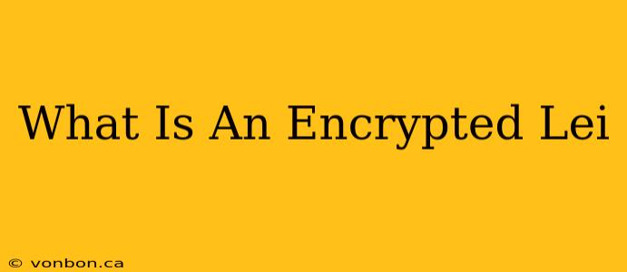 What Is An Encrypted Lei