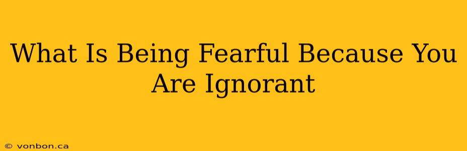 What Is Being Fearful Because You Are Ignorant