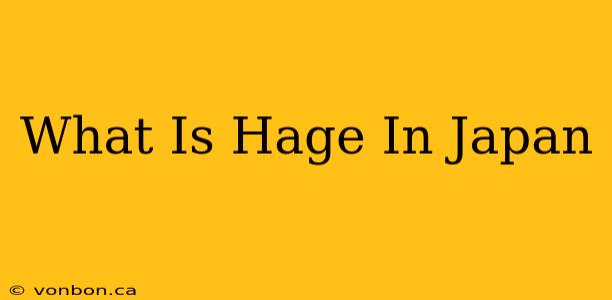 What Is Hage In Japan