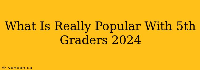 What Is Really Popular With 5th Graders 2024