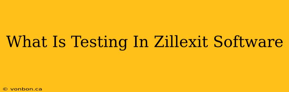 What Is Testing In Zillexit Software