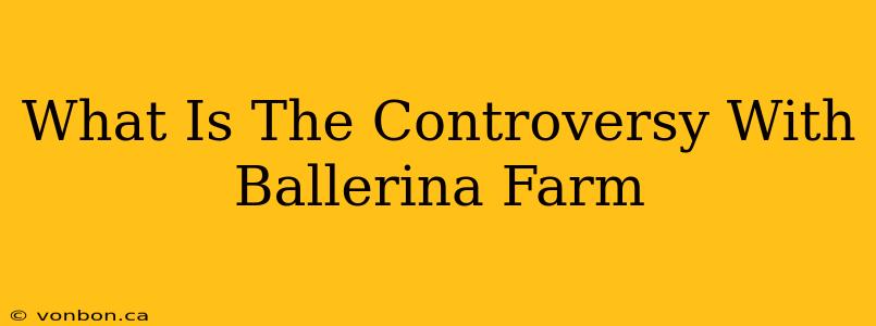 What Is The Controversy With Ballerina Farm