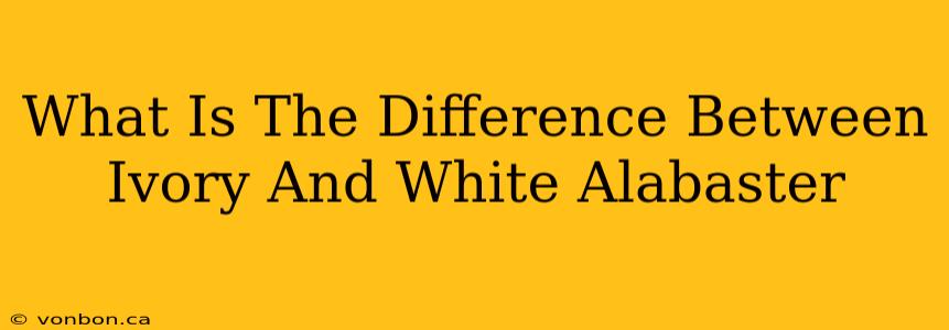 What Is The Difference Between Ivory And White Alabaster