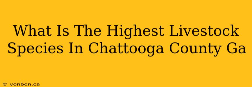 What Is The Highest Livestock Species In Chattooga County Ga