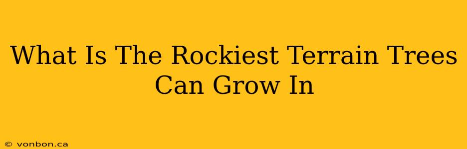 What Is The Rockiest Terrain Trees Can Grow In