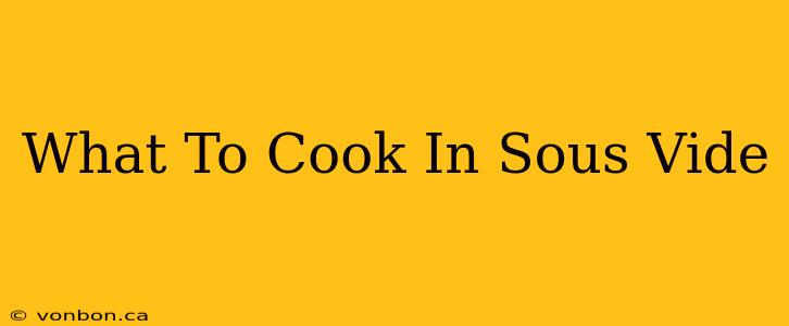 What To Cook In Sous Vide