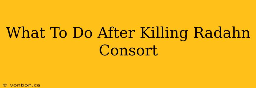 What To Do After Killing Radahn Consort