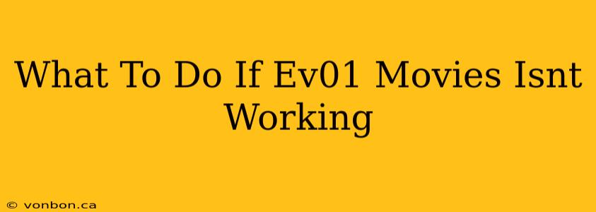 What To Do If Ev01 Movies Isnt Working