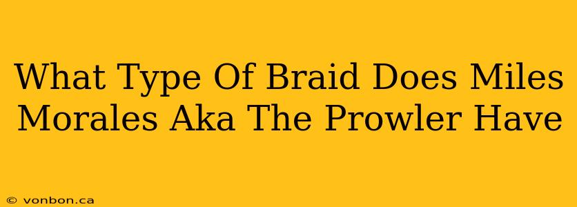 What Type Of Braid Does Miles Morales Aka The Prowler Have