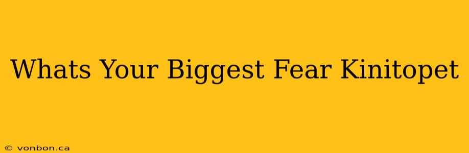 Whats Your Biggest Fear Kinitopet