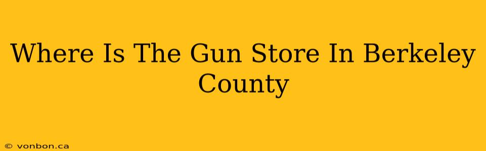 Where Is The Gun Store In Berkeley County