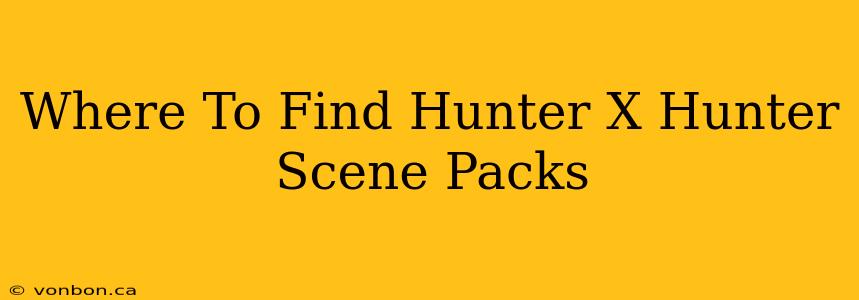 Where To Find Hunter X Hunter Scene Packs