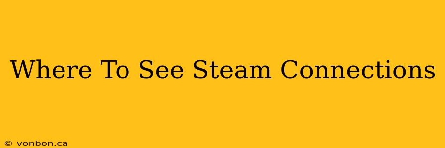 Where To See Steam Connections