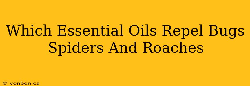 Which Essential Oils Repel Bugs Spiders And Roaches