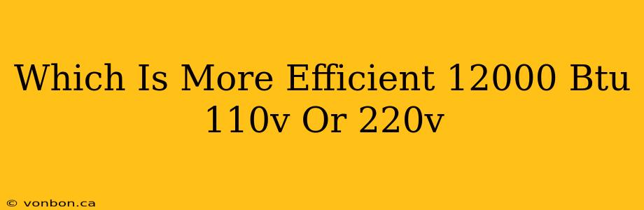 Which Is More Efficient 12000 Btu 110v Or 220v