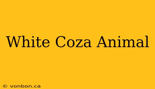 White Coza Animal