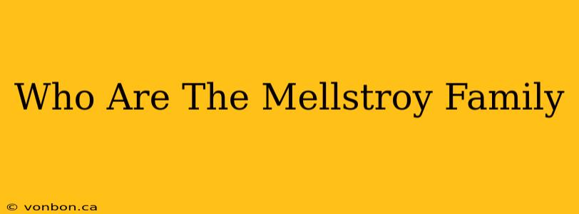 Who Are The Mellstroy Family