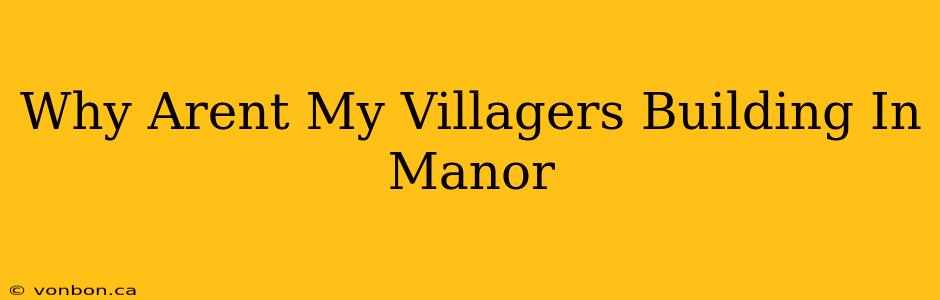 Why Arent My Villagers Building In Manor