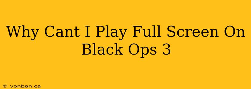 Why Cant I Play Full Screen On Black Ops 3