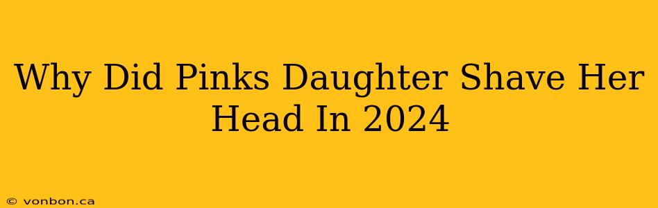 Why Did Pinks Daughter Shave Her Head In 2024