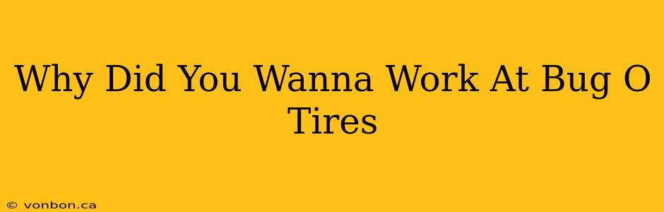 Why Did You Wanna Work At Bug O Tires