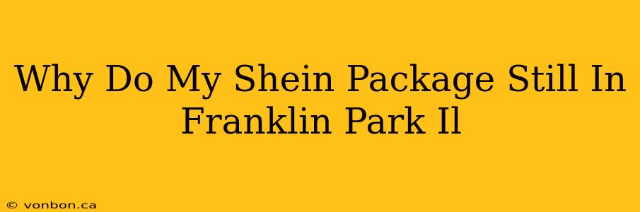 Why Do My Shein Package Still In Franklin Park Il