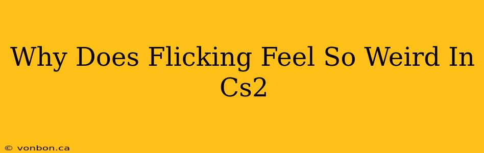 Why Does Flicking Feel So Weird In Cs2