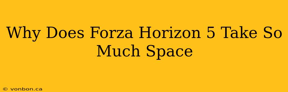 Why Does Forza Horizon 5 Take So Much Space