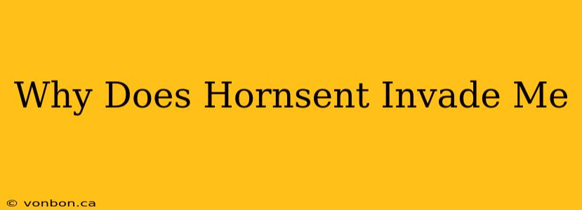 Why Does Hornsent Invade Me