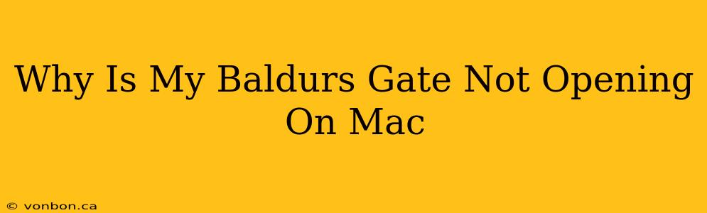 Why Is My Baldurs Gate Not Opening On Mac