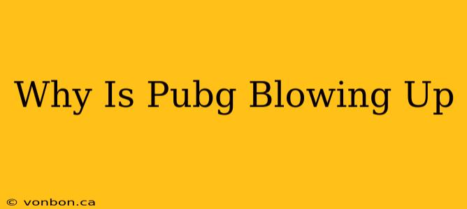 Why Is Pubg Blowing Up