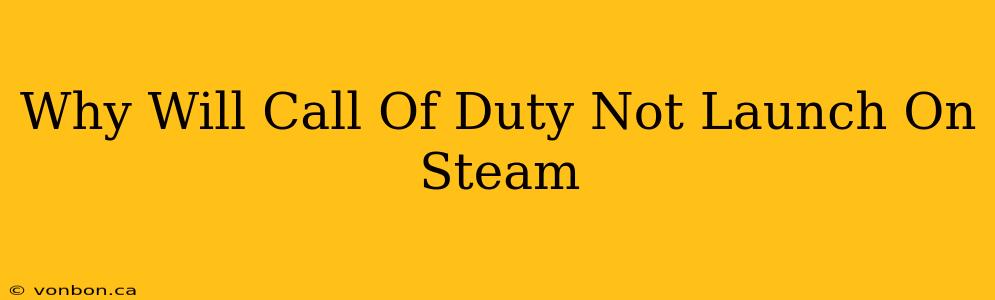 Why Will Call Of Duty Not Launch On Steam