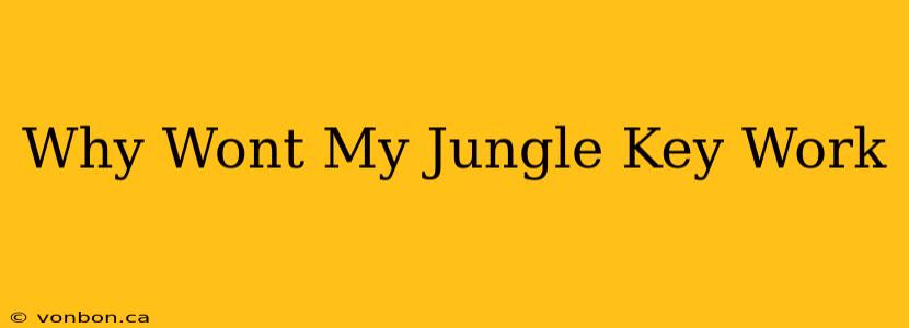 Why Wont My Jungle Key Work