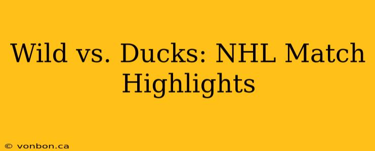 Wild vs. Ducks: NHL Match Highlights