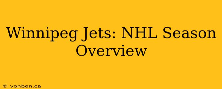 Winnipeg Jets: NHL Season Overview