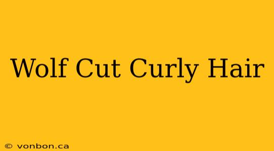 Wolf Cut Curly Hair