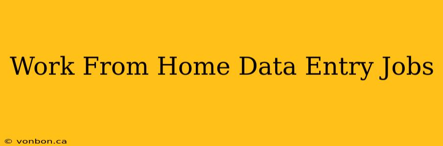 Work From Home Data Entry Jobs