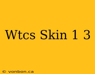 Wtcs Skin 1 3