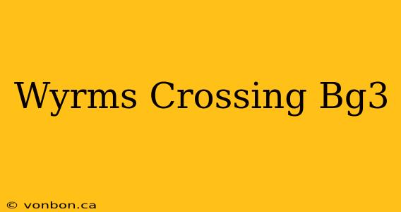 Wyrms Crossing Bg3